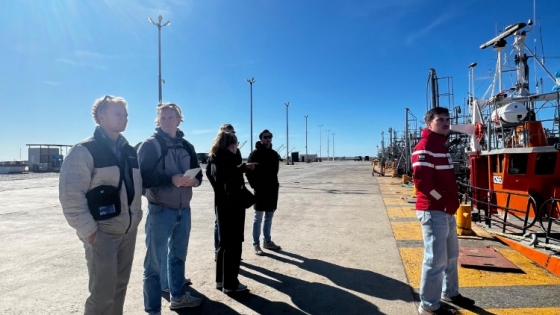 Chubut recibió nuevamente a ingenieros de Países Bajos para analizar en conjunto la expansión portuaria