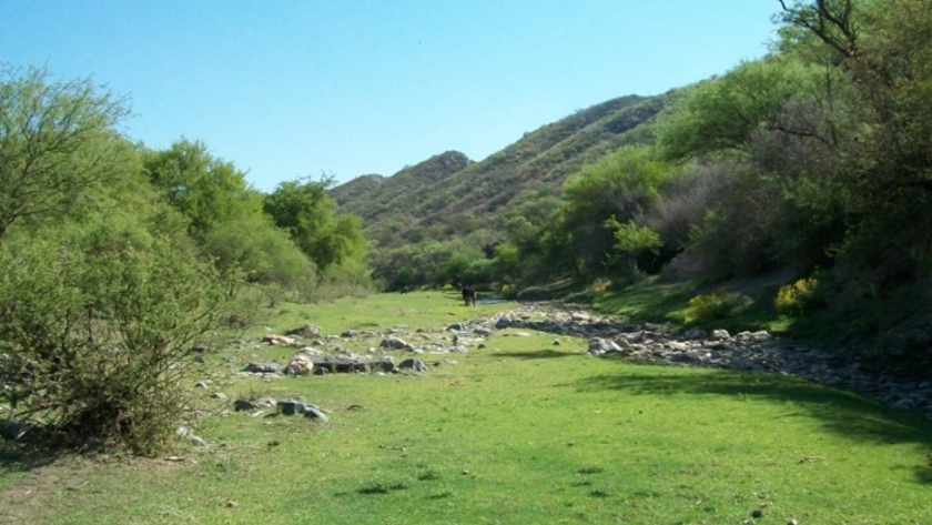 Conocé todas las actividades ambientales que ofrecen las Áreas Naturales Protegidas de San Luis