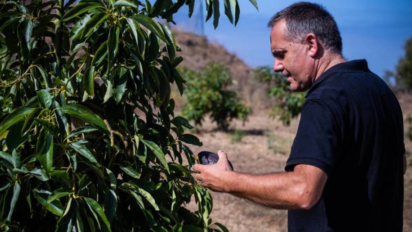 La finca experimental que lleva 60 años revolucionando la agricultura en España