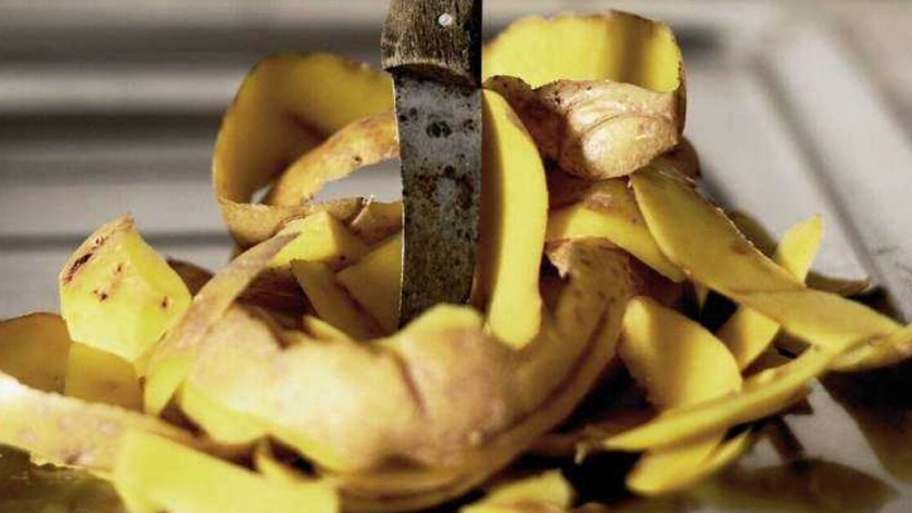 Almacenamiento de alimentos: los consumidores deben reducir el desperdicio de alimentos