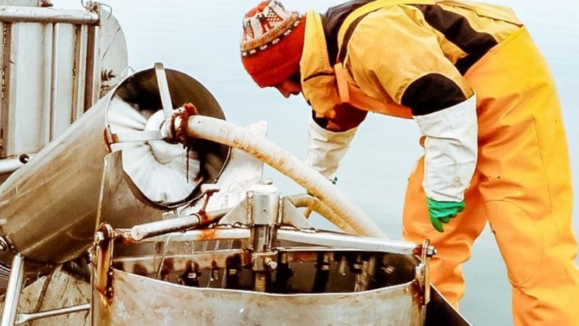 Está en funcionamiento la primera planta de procesamiento de pescados y mariscos en Almanza