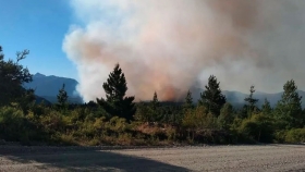 La Gobernadora decretó el estado de emergencia agropecuaria por el incendio en El Bolsón