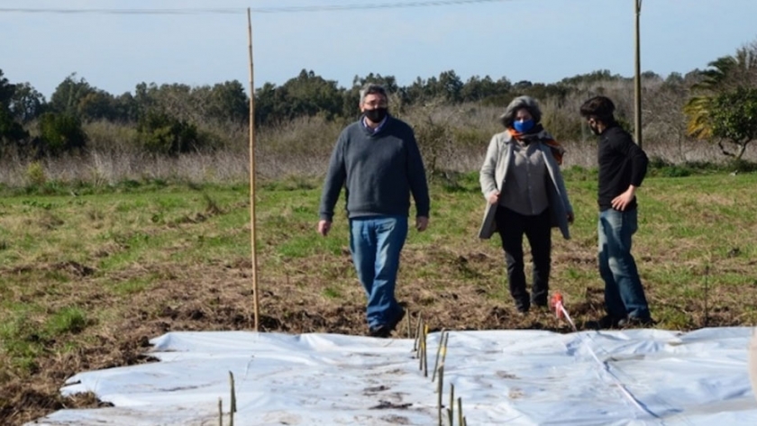 Impulso de la producción forestal en las chacras del MDA