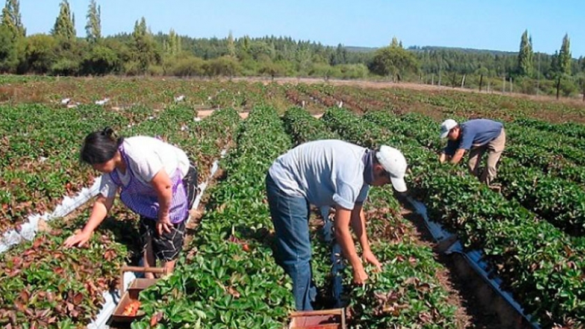 Lanzan una nueva línea de crédito para agricultores familiares