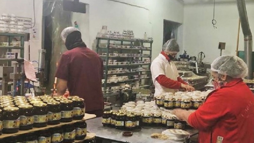 Empresas rionegrinas tendrán asistencia técnica subsidiada por Nación