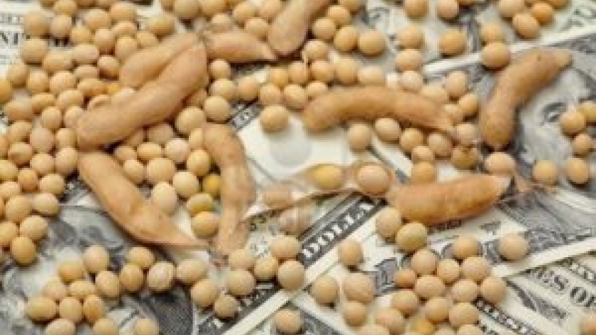 En lo que resta del año ingresarían 10.400 mill/dol de exportaciones agropecuarias