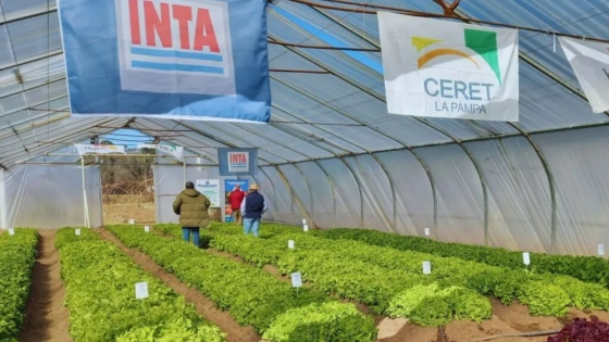 Innovación y sostenibilidad: el futuro de la horticultura en La Pampa