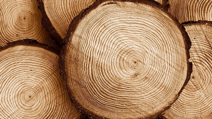 Continúa abierta la inscripción para participar de la 6ª Expo Madera Entre Ríos