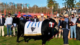 Los aplausos del presidente para Pipo, el mejor Angus