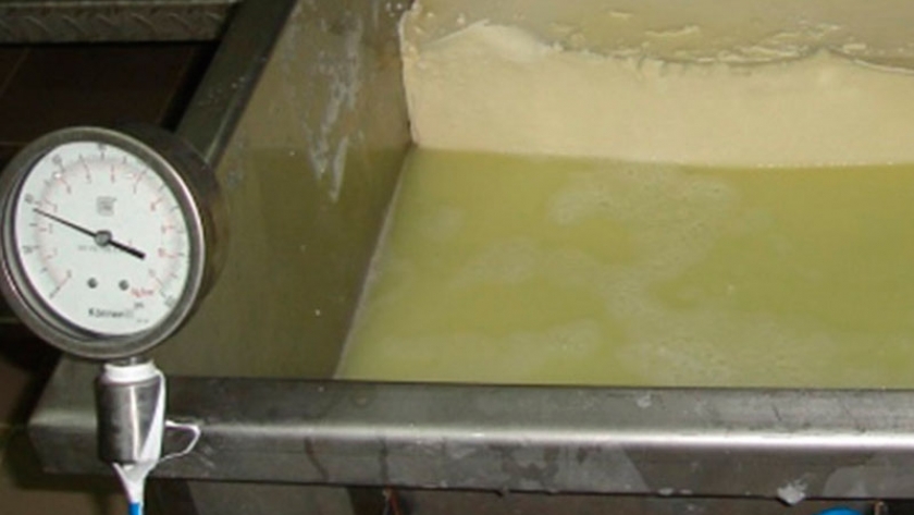 Investigadores del INTA crearon un bioplástico con residuos de la industria quesera