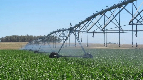 Riego en expansión: Argentina suma más de 63.000 hectáreas irrigadas en dos años