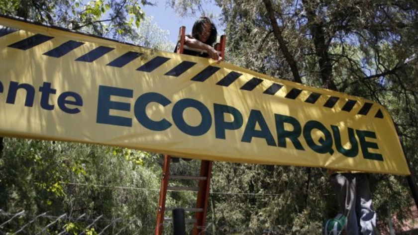Ecoparque: videoconferencia con estudiantes de nivel primario que trabajan en proyectos de cuidado animal