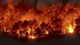 Incendios forestales: se extinguieron todos los focos, en una de las temporadas más críticas