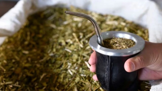 Crisis histórica en la yerba mate: la cosecha se desplomó y crece la preocupación en el sector