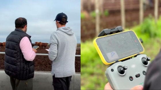 Pesan a las vacas con un dron: la historia de los estudiantes que rompen los paradigmas de la IA en el campo