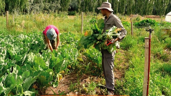 Nueva ruralidad: volver a impulsar la vida agrícola de forma sostenible