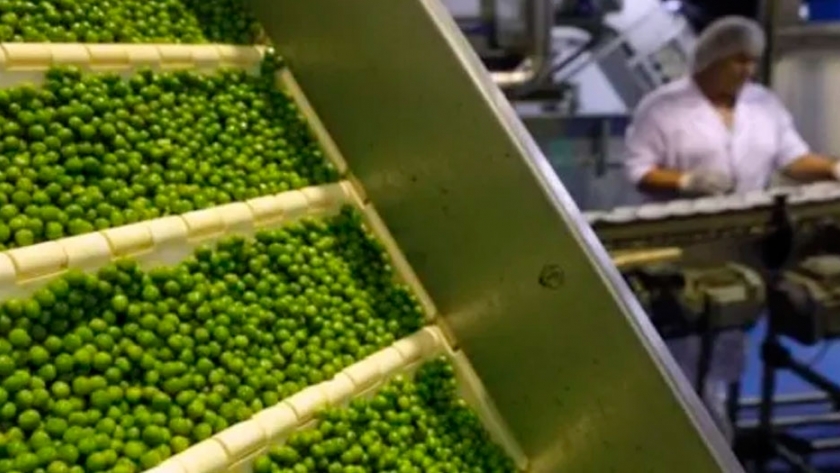 Arvejas: las 7 empresas argentinas que ya pueden exportar al mayor mercado global de la legumbre