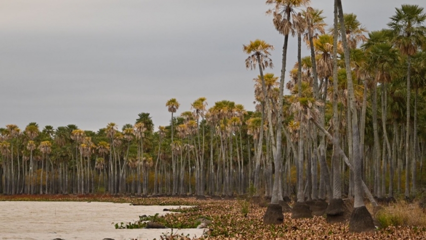 Provincia y nación ultiman detalles para la creación del nuevo parque nacional