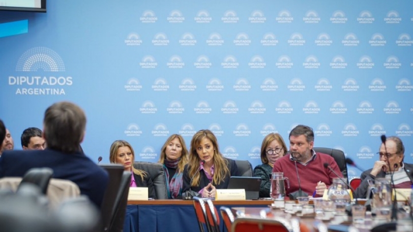 Royón presentó en el Congreso la Ley de GNL