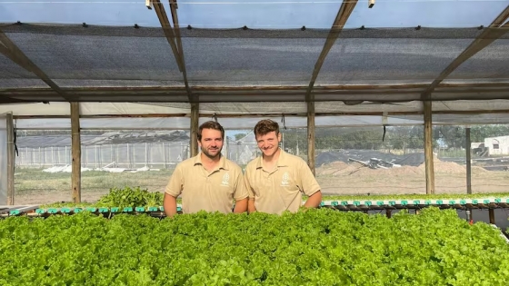 Sin tierra y con agua: dos agrónomos cordobeses producen lechuga y superalimentos con hidroponía