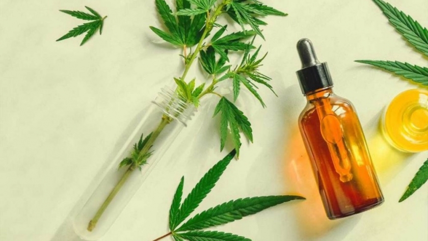 Chubut presentó en Nación el proyecto de desarrollo productivo de Cannabis para uso medicinal y terapéutico