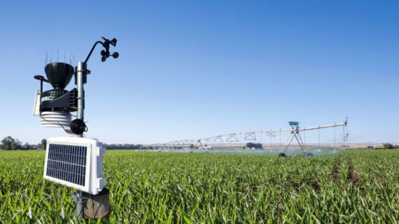 Lluvias menos frecuentes y calor en aumento: las claves del clima para la campaña agrícola de enero