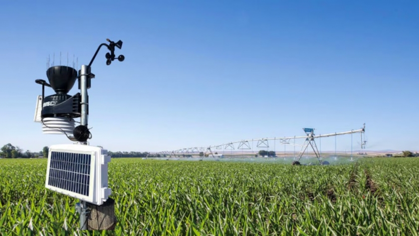 Lluvias menos frecuentes y calor en aumento: las claves del clima para la campaña agrícola de enero