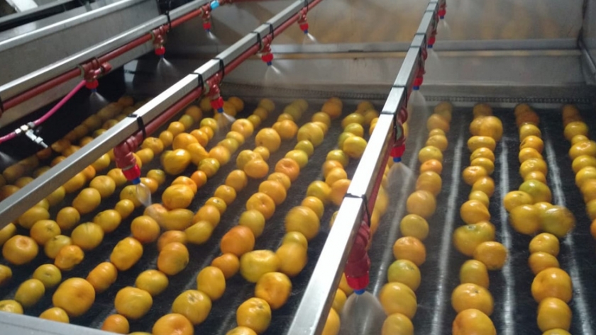 Empaques y cámaras de frío de frutas y hortalizas no podrán gestionar destino minorista