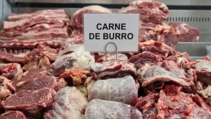 La polémica por la carne de burro llegó a la Justicia: investigan una prueba piloto en Chubut