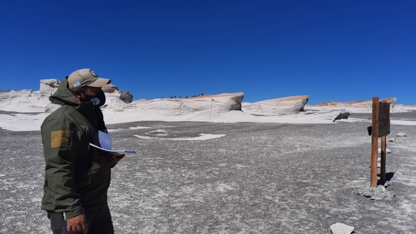 Medio Ambiente presente en el Campo de Piedra Pómez