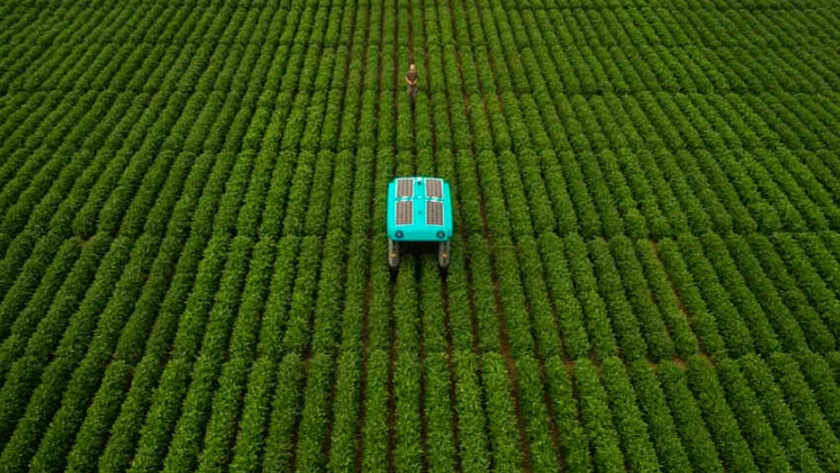 Agricultura computacional, el último proyecto de Google revolucionará el campo