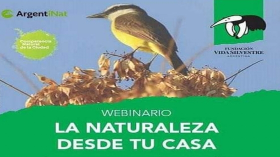 Localidades pampeanas invitadas a participar del City Nature Challenge 2020