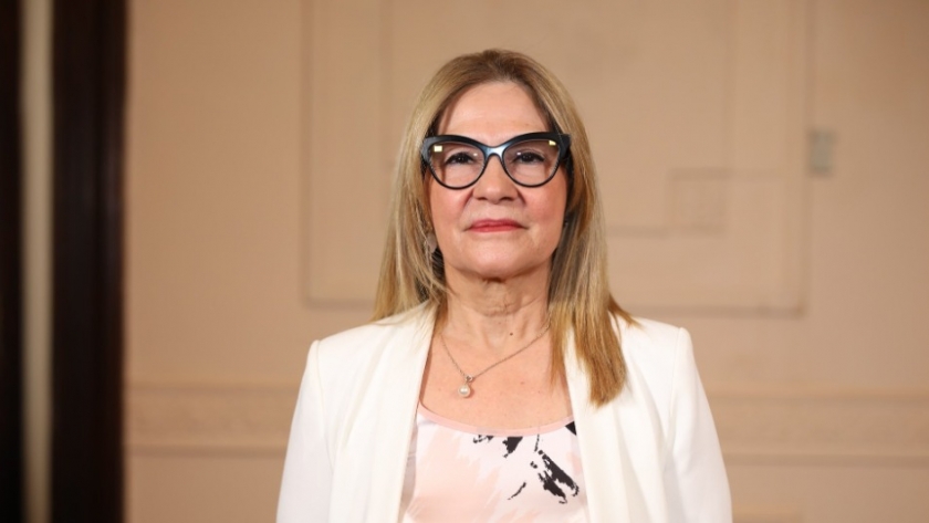 En el Consejo Federal se presentó el programa de tutorías