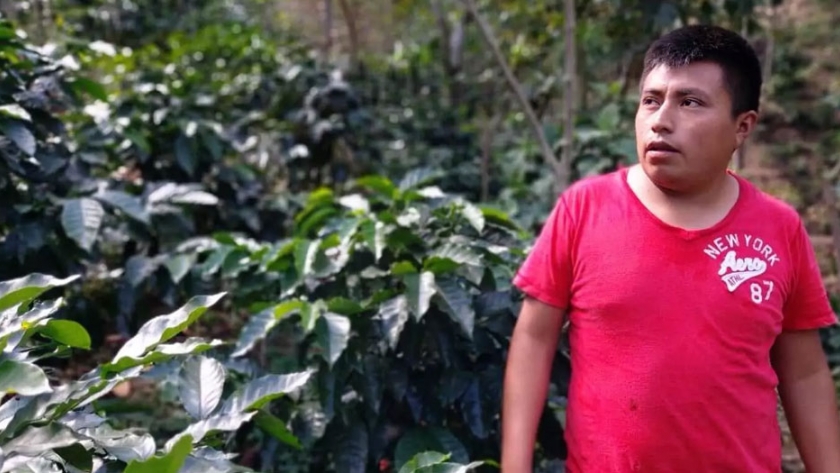 EthicHub, proyecto Blockchain que conecta inversores minoristas con más de 120 agricultores de café en México