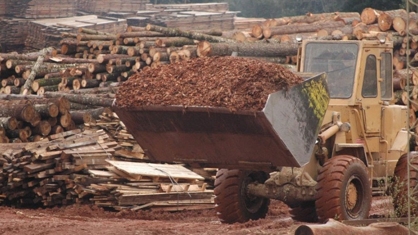 Ley Nacional 26.331 "Presupuestos Mínimos para la Protección Ambiental de los Bosques Nativos": entrega de herramientas e insumos