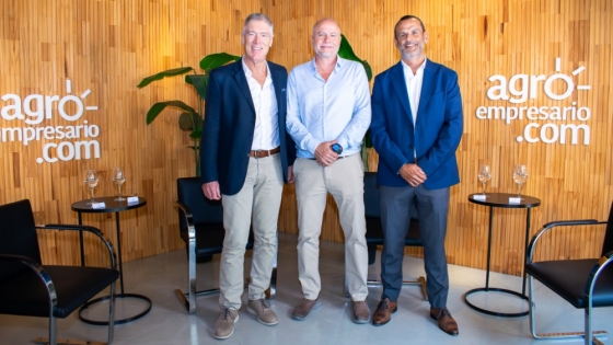 ¿Los biocombustibles para aviación son una oportunidad potente para Argentina?