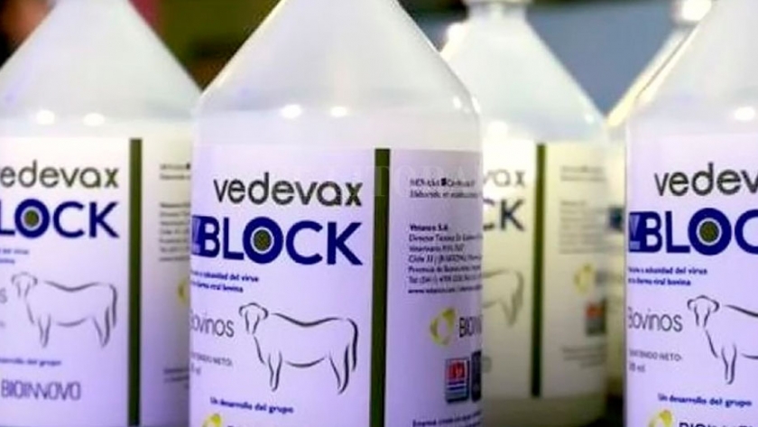 Una vacuna argentina para bovinos desarrollada por el INTA se venderá en Perú