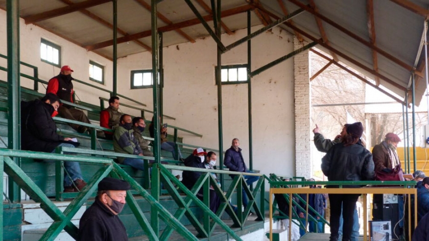 Y un día volvieron los remates físicos a la Rural de Villa Mercedes