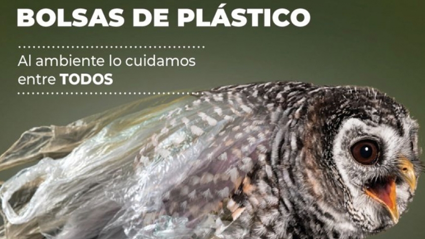 Por un Chaco sostenible libre de bolsas de plástico