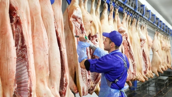 Nuevas tarifas en EE.UU. reconfiguran las exportaciones argentinas de carne vacuna