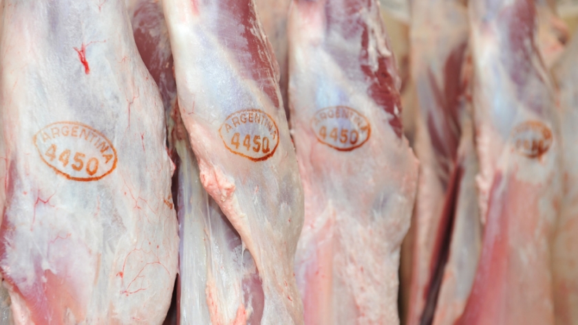 El desafío de producir carne de calidad con inocuidad y sustentabilidad