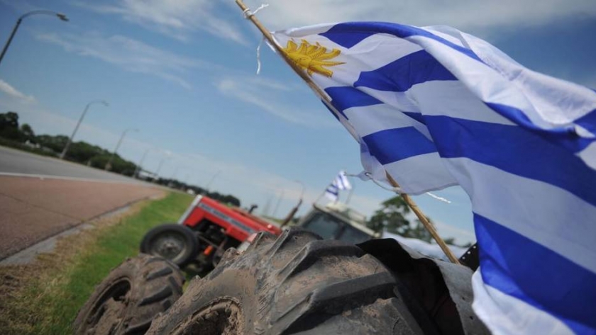 Las solicitudes de los productores argentinos para invertir en Uruguay no pasan de simples consultas