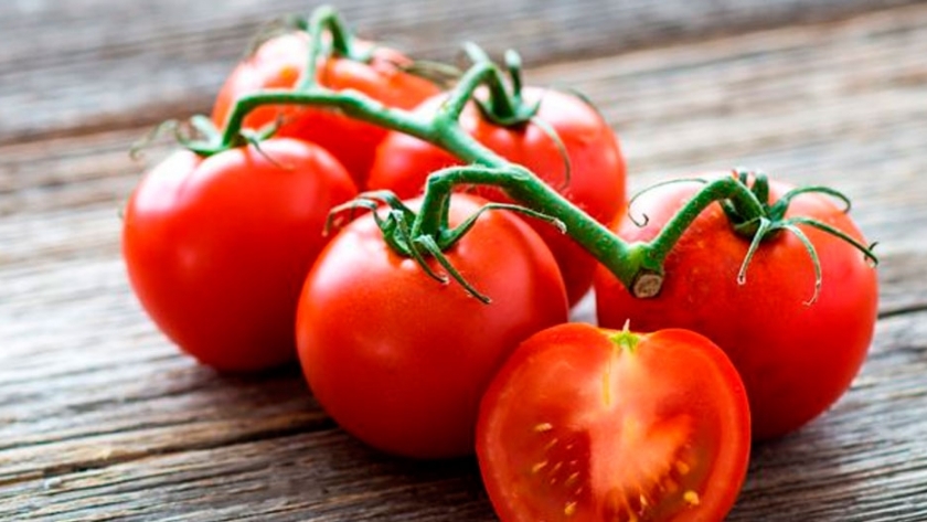 Buscan recuperar el sabor de los tomates