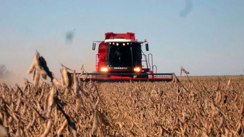 La crudeza de los datos: 1 de cada 5 dólares que exporta el agro va al gobierno por vía de las retenciones