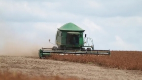 Sube el precio de la soja por la severa sequía que impacta en Argentina