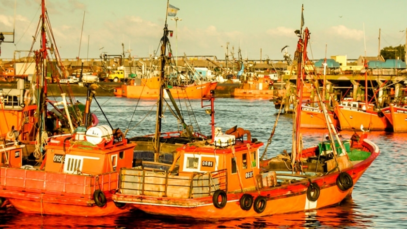 El puerto de Mar del Plata licita parte de su terminal multipropósito
