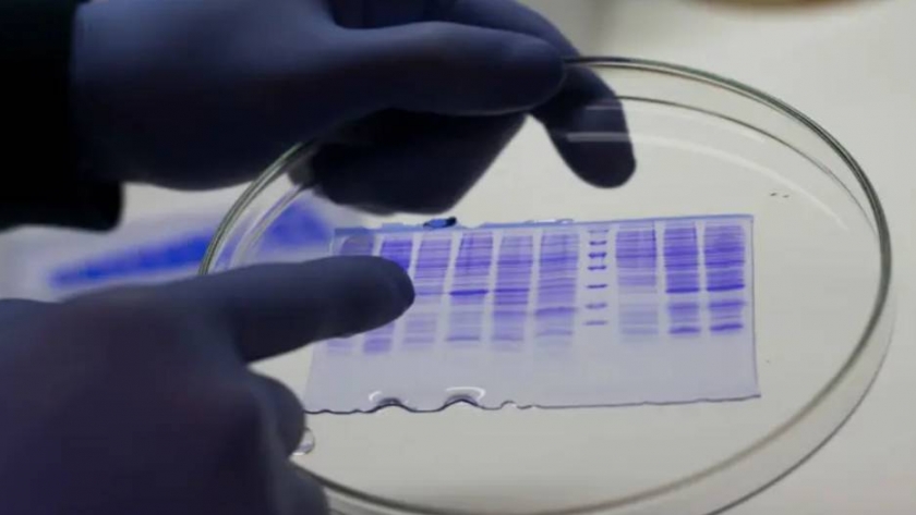 El agro da pelea al coronavirus con un nuevo test