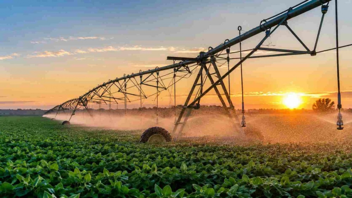El riego se consolida como aliado clave del agro para sostener rindes frente a la variabilidad climática
