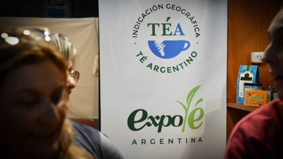 El té argentino conquista nuevos mercados: auge del segmento premium, turismo rural y experiencias gourmet en Misiones