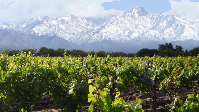 Realidades de la vitivinicultura a través de un ciclo de charlas